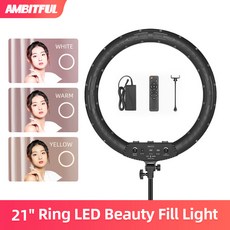 링라이트21인치