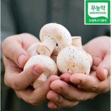 [부여 바른 농부] 친환경 인증 무농약 부여 양송이 버섯, 1개, 가정용, 500g