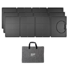 에코플로우리버맥스