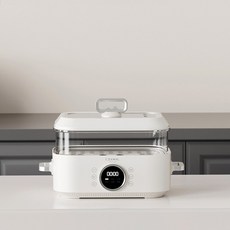 가정용 전기 스팀 조리기 자동 멀티 쿠커 냄비 스티머 1 레이어 2 사용 가능 220V, set 1_220V