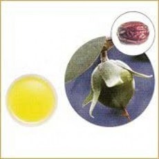 생명의 나무 호호바 오일 골든 [비 정제] 500ml, 1