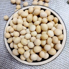 이슬처럼 국산 백태 5kg 메주콩 노란콩 ( 2024년산 ), 1개