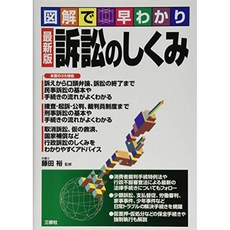 최신 버전 소송의 구조 (그림에서 조 알아), 단일옵션, 단일옵션