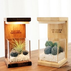 원목 각인 식물 무드등 플랜테리어 LED 조명 졸업 퇴사 정년 회사 선물