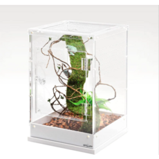 Raptizoo 렙티쥬 아크릴 크레스티드게코 사육장 303045 PACR09