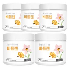 폴렌느 TOP01