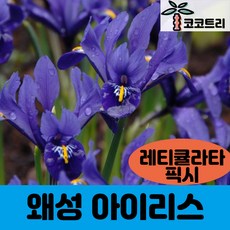 3e3bf9861627ff3f4f808d0eec11f6ad4c6debd7eadcefc366faecf591a3.jpg