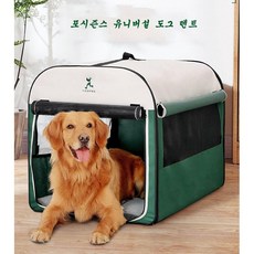 도노비쌍둥이