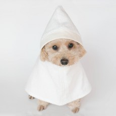 강아지샤워귀마개