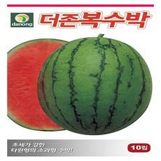 다농원예가든 더존복수박10립, 1개