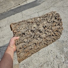 굴피껍질 통피 코르크보드 가로60cm 둘레 55-70cm, 1개