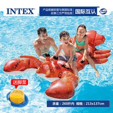 레인보우암튜브