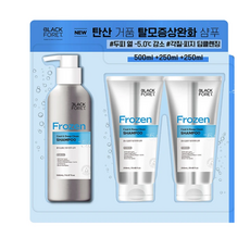 블랙포레 탄산거품 프로즌 탈모증상완화 샴푸 1000ml 코스트코 두피 열 감소 탈모케어, 1개