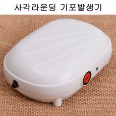 남해갯강구기포기