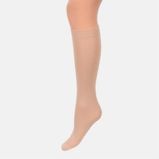 투명판타롱스타킹