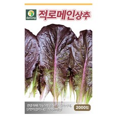 으뜸 열무 씨앗 20g - 열무씨앗 열무씨 야채씨앗 채소씨앗 채소재배 종묘 종자 베란다 텃밭 씨 씨앗, 18_다농_적로메인 상추(2000립)