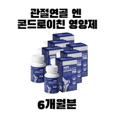 대용량 부모님 연골 케어 콘드로이친 건강기능식품 6개월분