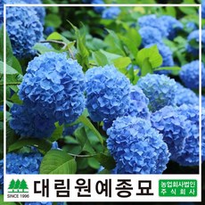 추천3미림원예종묘