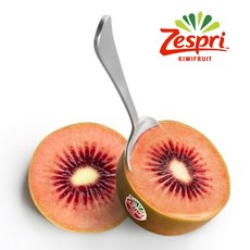 레드키위효능 TOP01