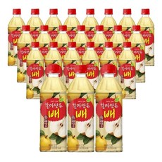 [음료센타]해태 갈아만든 배 500ml 24입, 24개