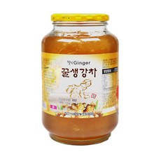 고흥 웰빙 꿀차 모과차/자몽차/생강차/레몬차/유자차/청귤차 골라담기, 03.고흥 웰빙 꿀생강차, 2kg, 1개, 1개입