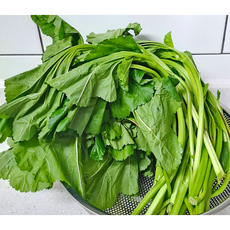 국내산 아욱 400g 1kg 당일채취 아욱나물 제철채소 생 아욱 원산지 국내산 부드러움 달콤한 맛 봄의 향기 물씬물씬 된장국 채소 무침, 1개