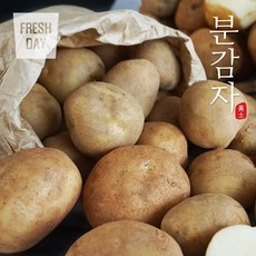 오이한박스