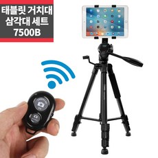 마인그라피7500b