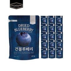 건블루베리400g 16팩, 16개