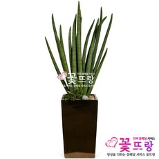 91d14fb856de205779dd70443cee2bb55fbc10df58a407f36bb4c20193bb.jpg