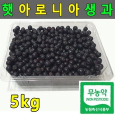 2020 무농약 아로니아 생과 10kg 줄기제거 5kg 유기농 햇아로니아 국산아로니아 생아로니아 무농약아로니아 유기농아로니아, 줄기제거5kg, JKCP 본상품선택_잭콩픽