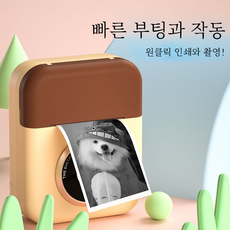 카메라인화