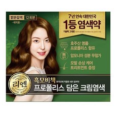 리엔 흑모비책 프로폴리스 담은 크림 염색제 새치용 12회분, 01 밝은 갈색, 1개