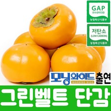 싼재네마켓 창원단감 진영 송본 부유단감 2.5kg 5키로 10kg 대과, 1box, 5kg (M 24과)
