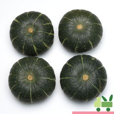 사라상회 국산 단호박 5Kg (4수), 1개