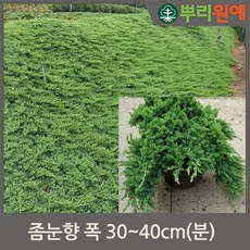 756f8e683a0ca9dad7d7a80d302b7c7195ba8fc33c0b6b9900d23ad34872.jpg