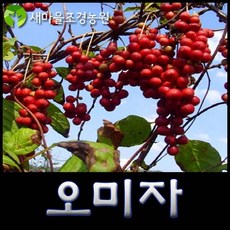 62de523b859efceee3ab0d4abf0972c3549cd006be299f89fd179586cdaf.jpg