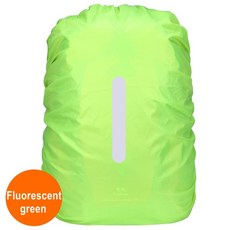 로이스트라이크