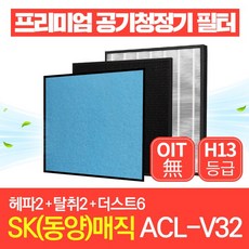 SK매직 공기청정기 필터 ACL-V32 호환필터 1년관리세트, 1년세트(헤파2개+탈취2개+더스트6개)