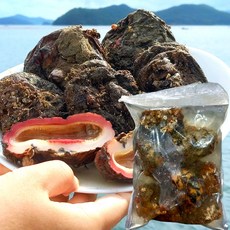 남해 통영 자연산 돌멍게 1kg 멍게 활 멍개 제철, 1개, 통영 자연산 돌멍게 1kg (6-10미)