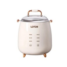 LOTOR 주방용 전기 계란 조리기 자동 스티머 다기능 김밥 커스터드 죽 요리, BE-ZDQ01, 1개