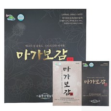 마가보감 울릉도 마가목 추출물 즙 진액