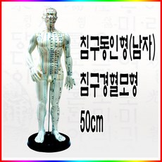 wy 남자동인형 50cm 침구모형 경혈동인형, 1개