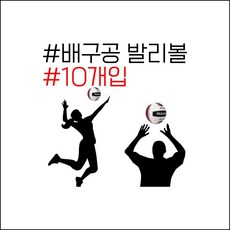 학교 체육 수업용 실기용 5호 배구공 X 10개입 어린이체육용품 선생님비품 실기준비물 nalj, 모든A 프로모릭스 세터 배구공