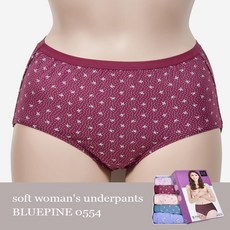 노비속옷