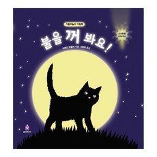 [보림]불을 꺼 봐요! : 그림자놀이 그림책 - 아티비티(Art + Activity (팝업북), 보림, 리처드 파울러