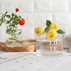 북유럽화병 인스 북유럽 구멍 유리 꽃병 수배식물 드라이플라워, 옵션01