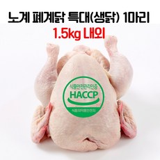 노계닭 폐계 (생닭) 특대 1마리 - 마리당 1.5kg내외, 1.5kg, 2개