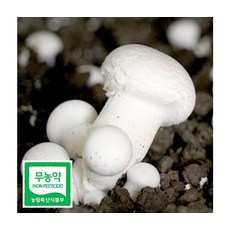 부여 무농약인증 꼬마양송이버섯 1kg, ONE COLOR, ONE SIZE