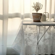 레이스협탁보